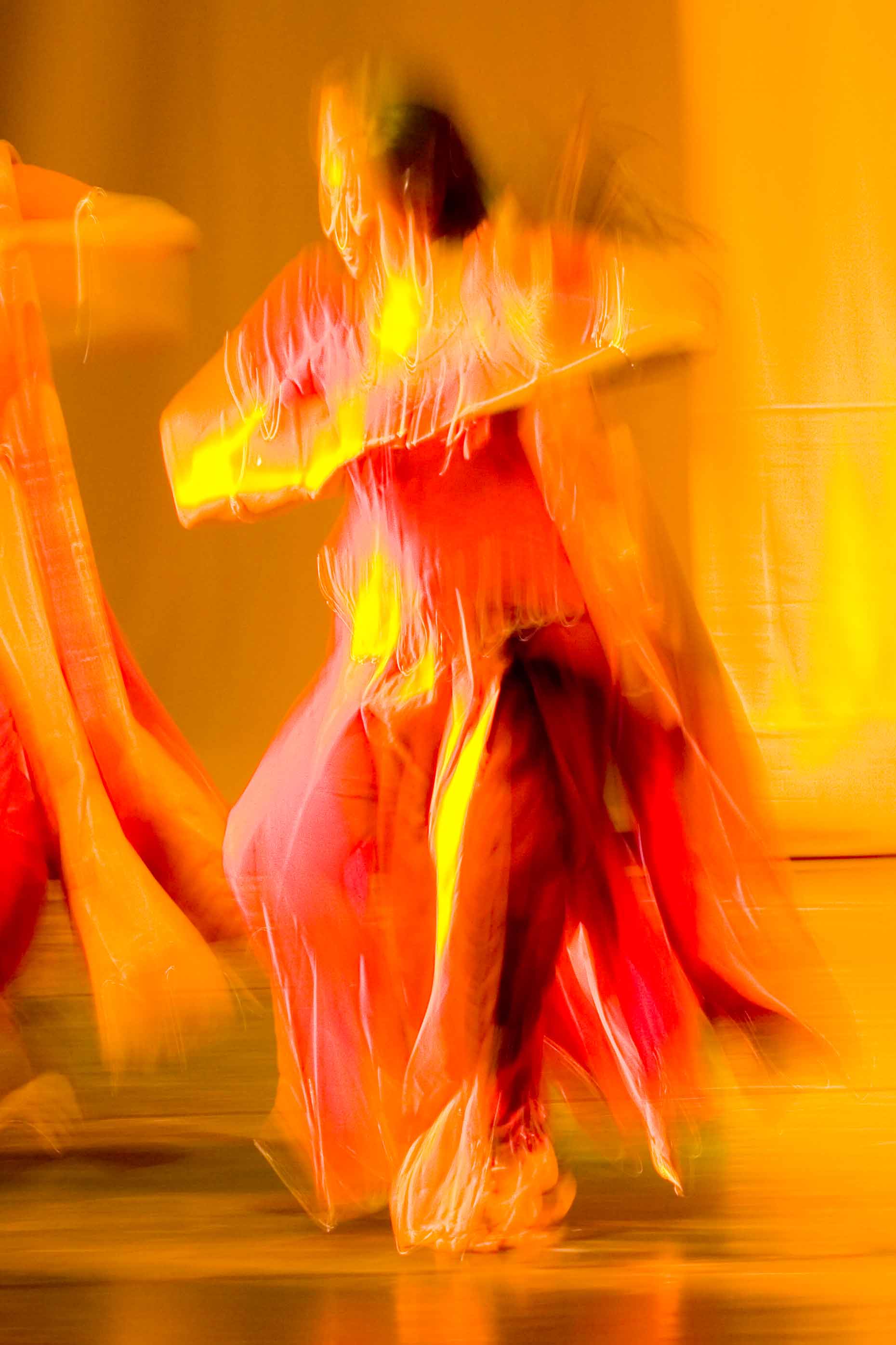 Anjali Keshava Tanzfest Basel 2015, Foto Brigitte Fässler